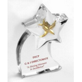 Lucite Shooting Star Embedment (7 1/2"x8"x1 1/2")